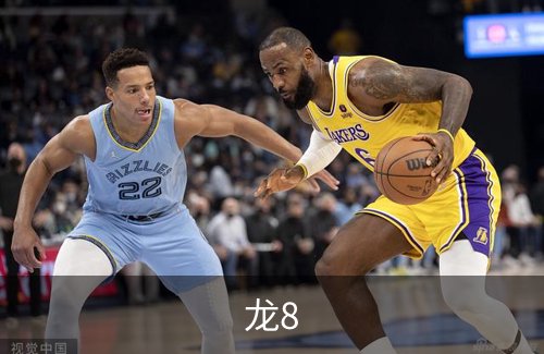 了解龙8